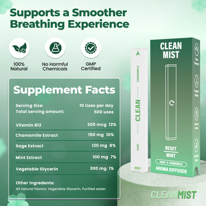 TheCleanMist Reset Mint™ Herbal Mist Stick