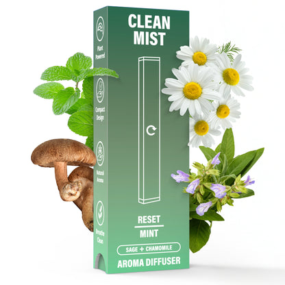 TheCleanMist Reset Mint™ Herbal Mist Stick